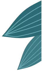 1662195052614137.png image.png