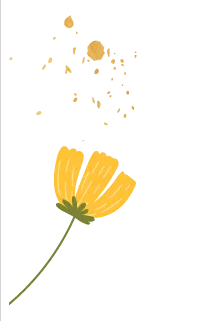 1662195257926484.png image.png